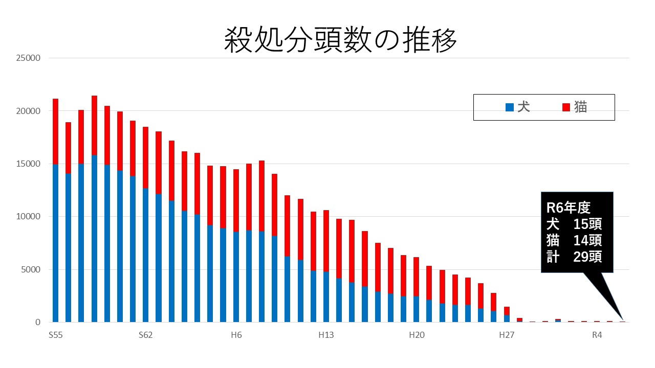 殺処分