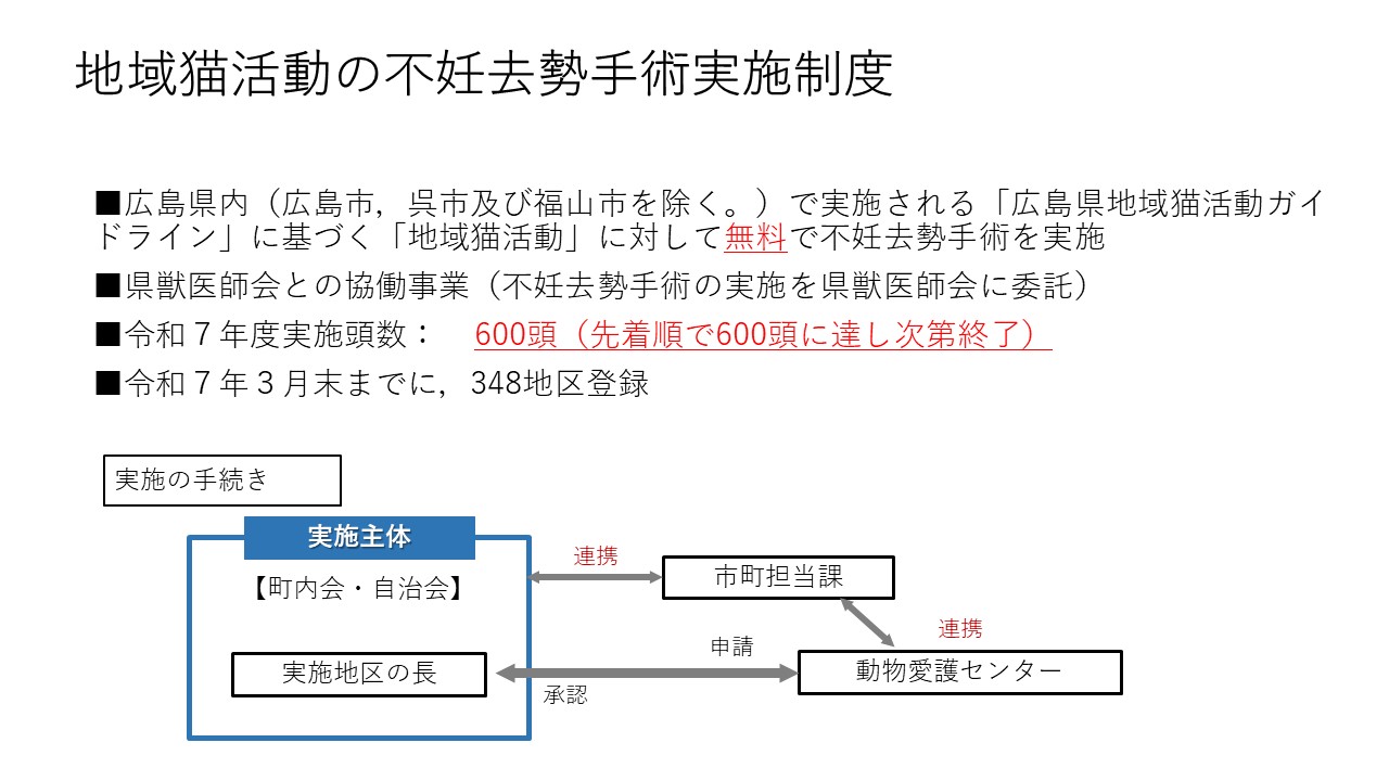 地域猫活動