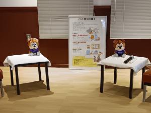 サンチェ
