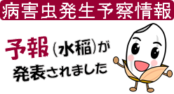 よほう
