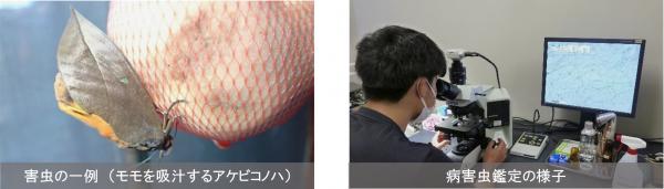 センターニュース表紙の写真