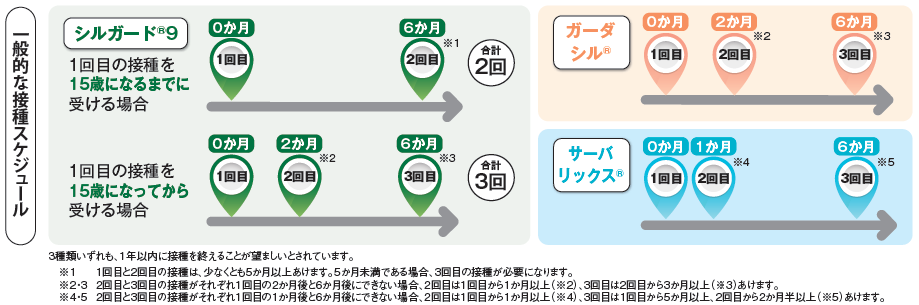 一般的な接種スケジュール