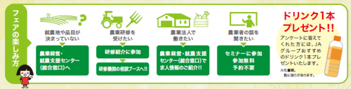 フェアの楽しみ方