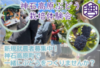 神石高原ぶどう体験会