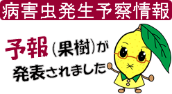 れもんちゃん