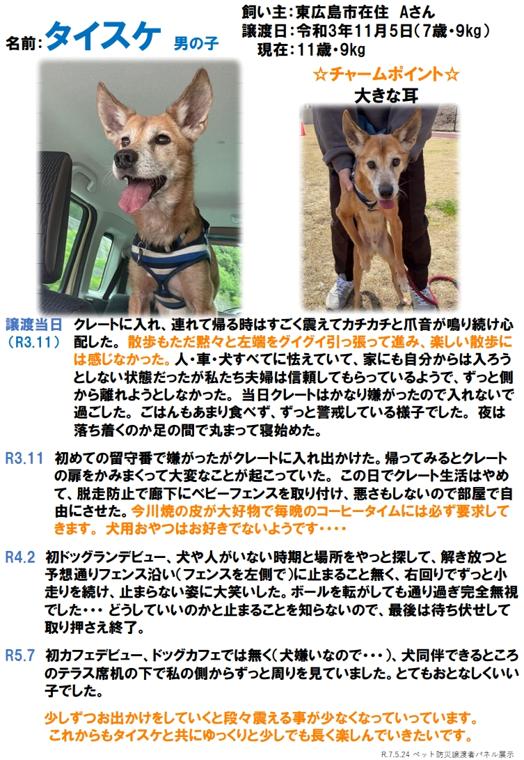タイスケ