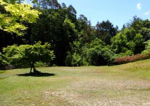 キャンプ場