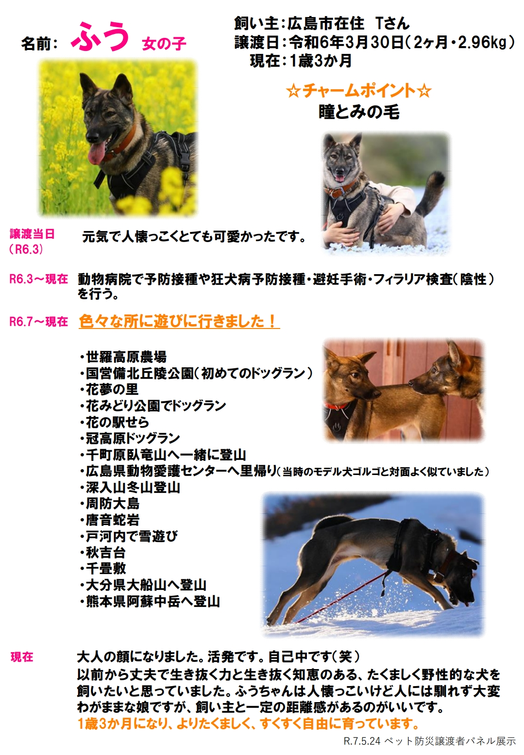 ふう