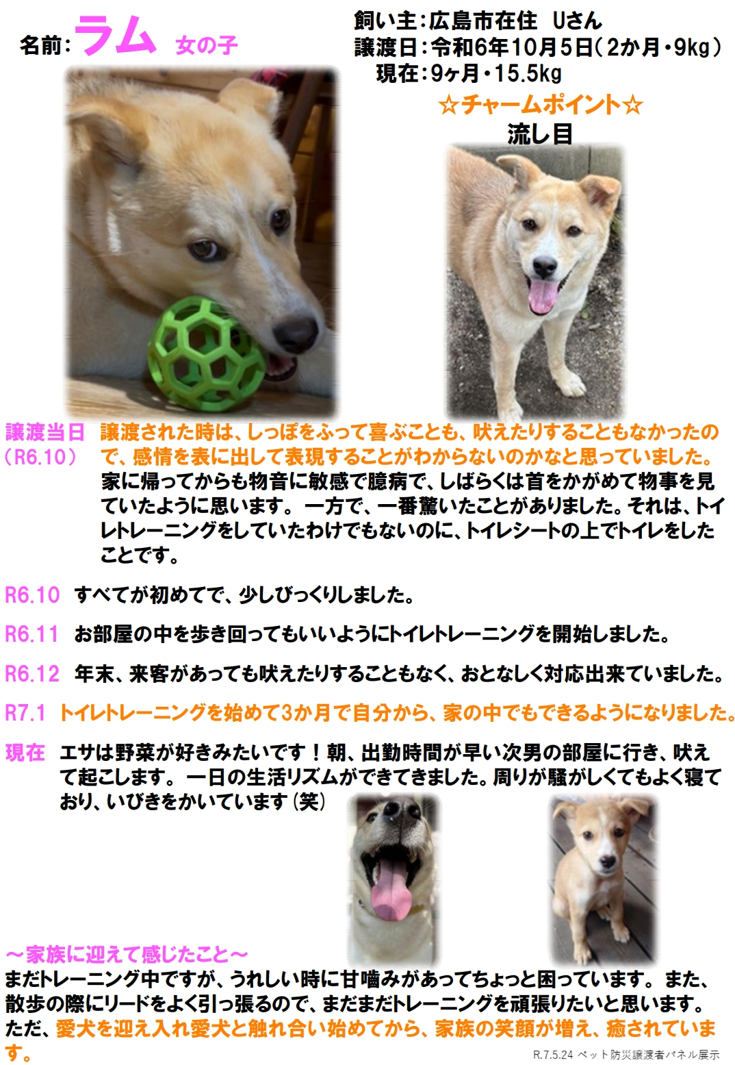 ラム