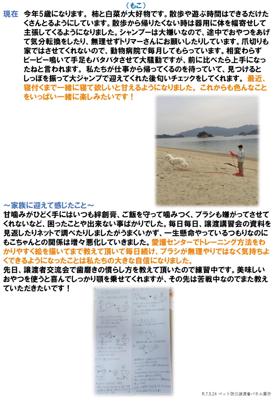 もこ１