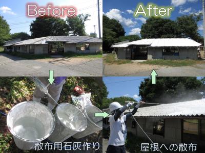 ドロマイト石灰塗布の前後比較