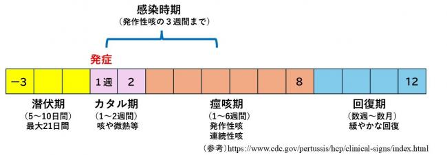百日咳経過