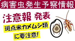 斑点米カメムシ類注意報