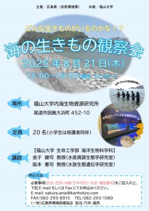 海の生きもの観察会