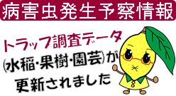 お