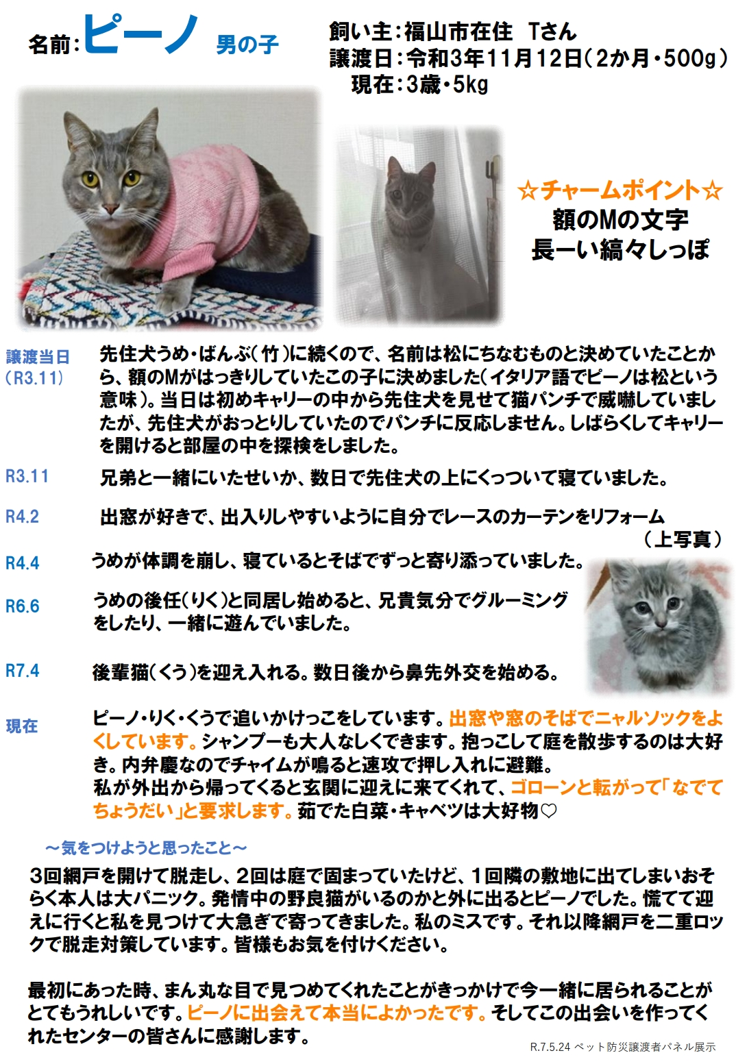 ピーノ