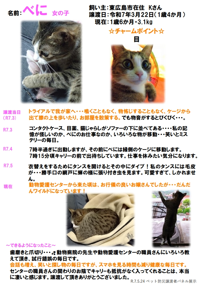 べに