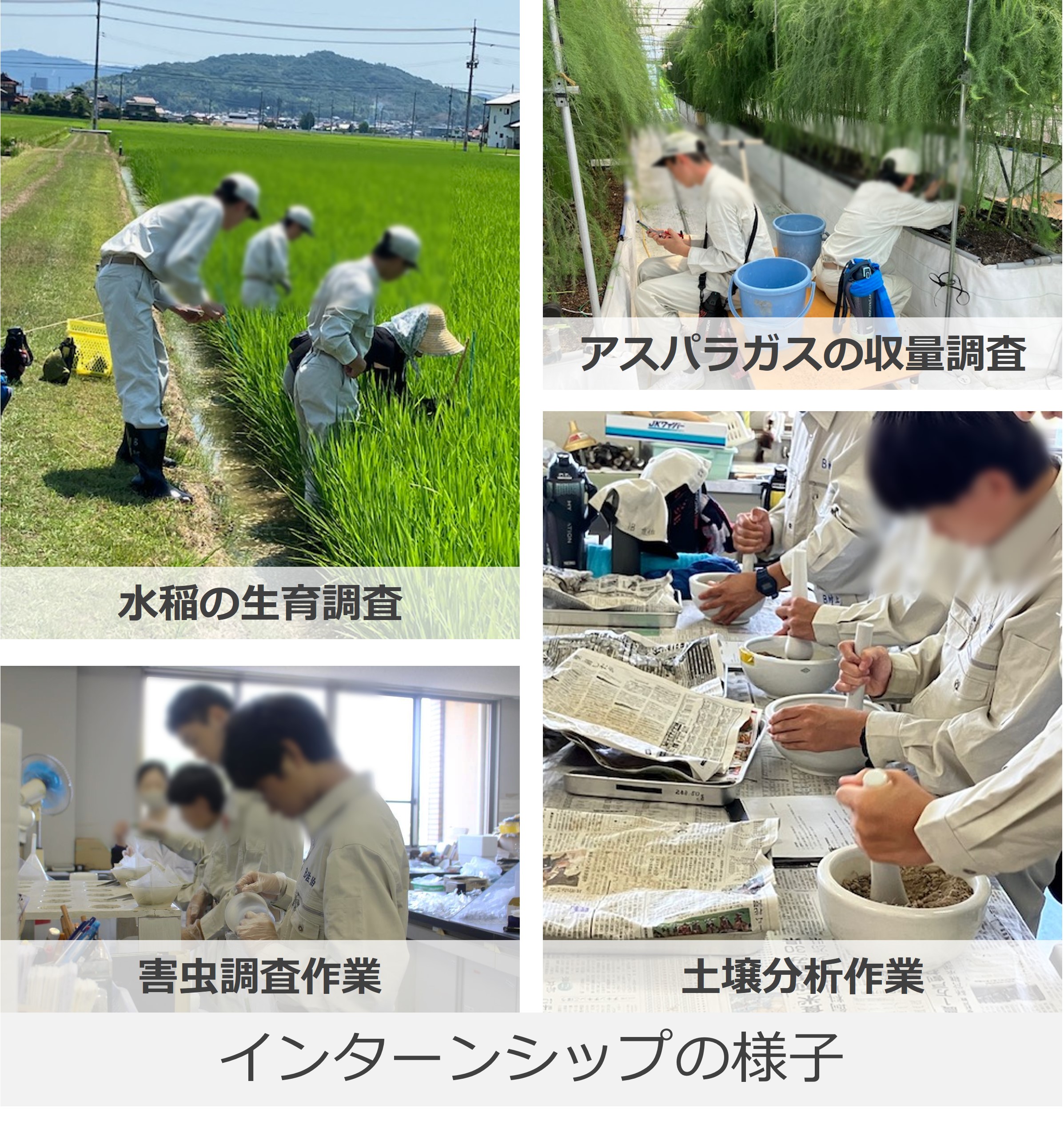 インターンシップの様子の写真
