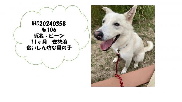 ビーン