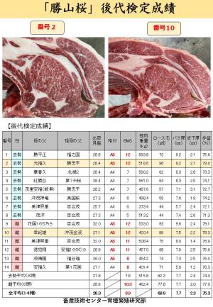 後代検定成績