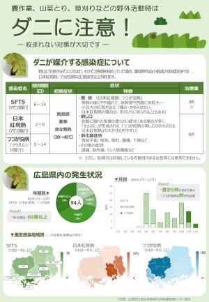 R7チラシ表