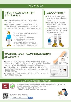 R7チラシ裏