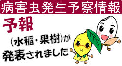 予報（水稲果樹）
