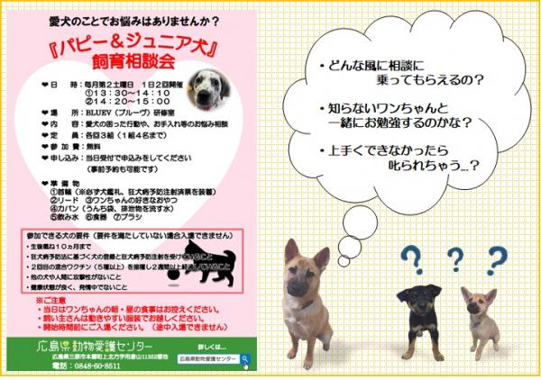 パピー＆ジュニア相談会について