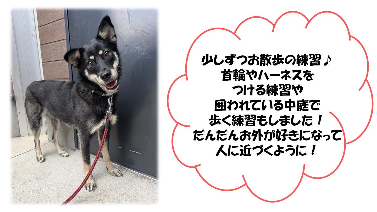 いちか４