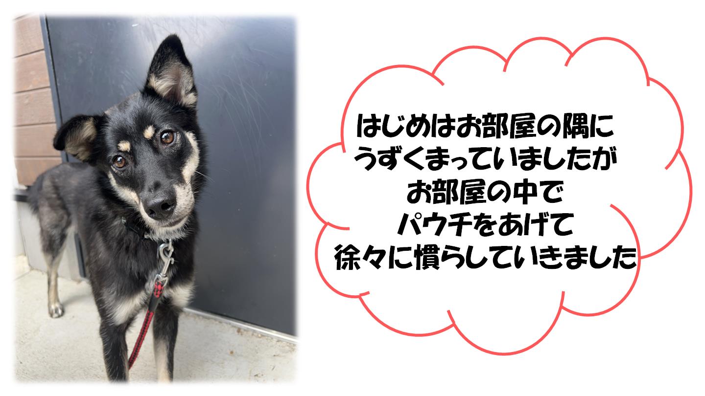 いちか６