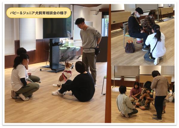 パピー＆ジュニア犬飼育相談会の様子