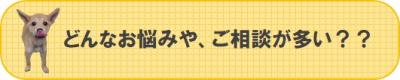 どんなお悩みや、ご相談が多い?