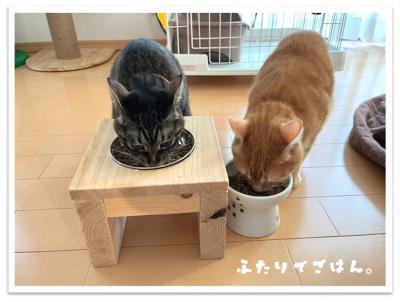 ハル４