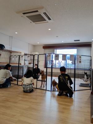 展示室