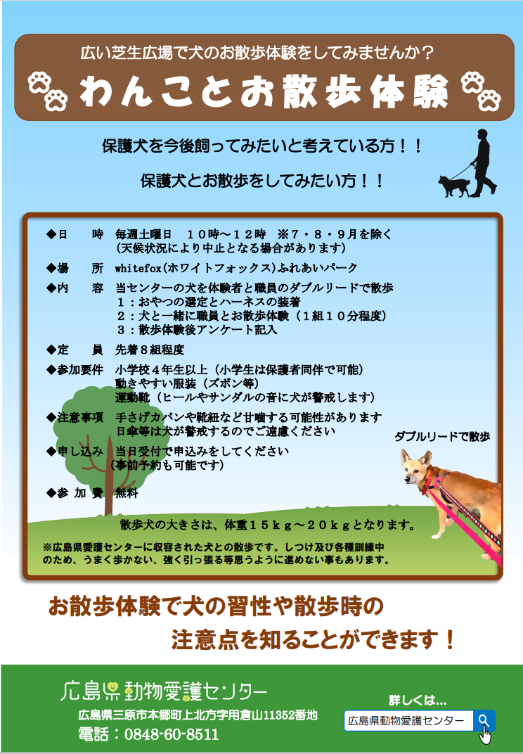 リーフレット