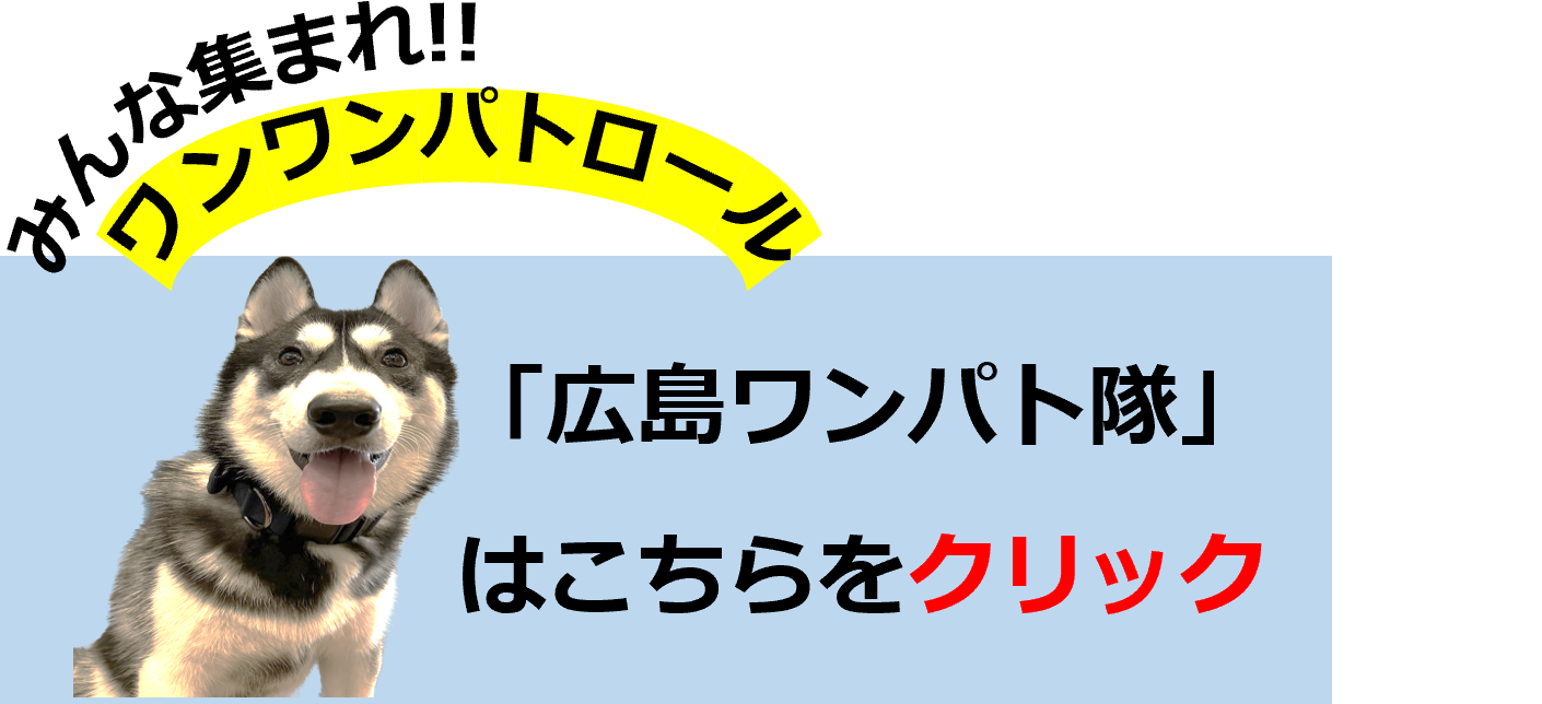 ワンパト