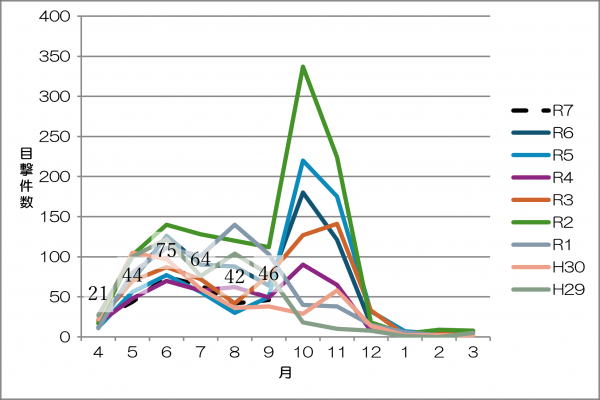 令和7年度クマ目撃情報
