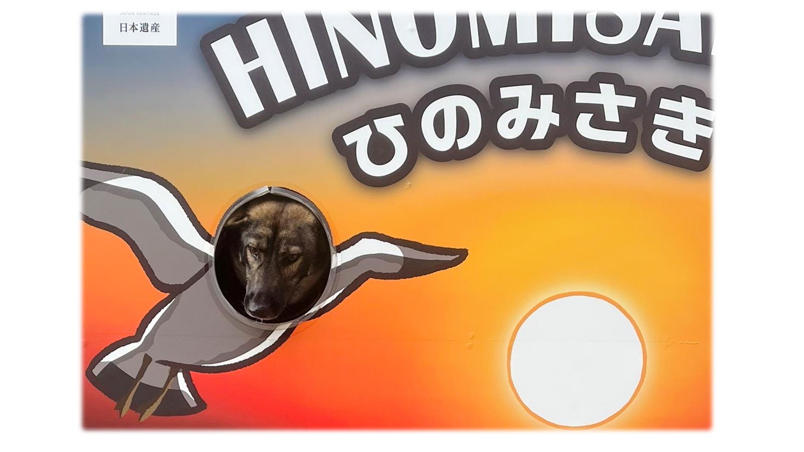 ふうちゃん5