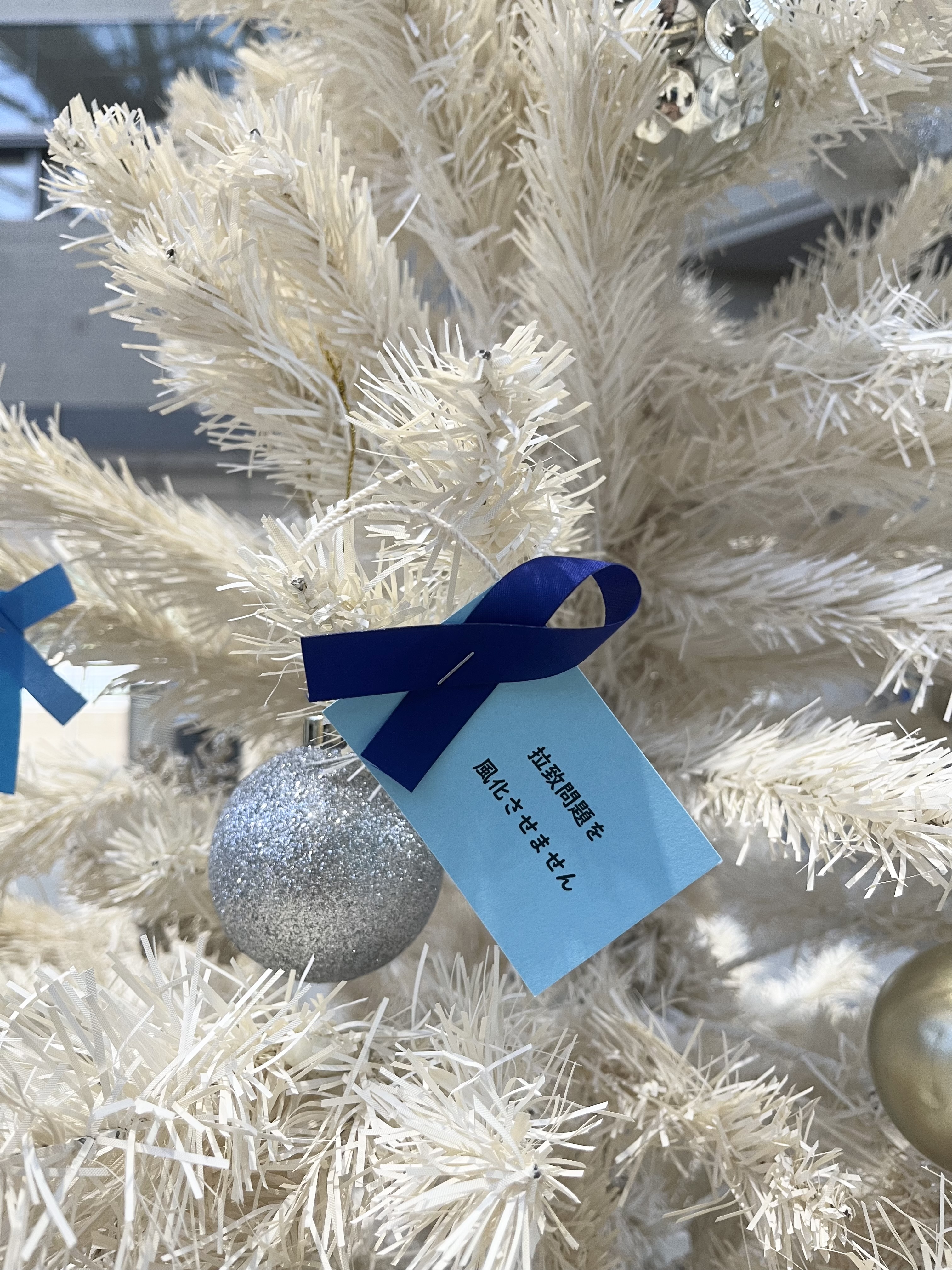 ブルーリボン写真