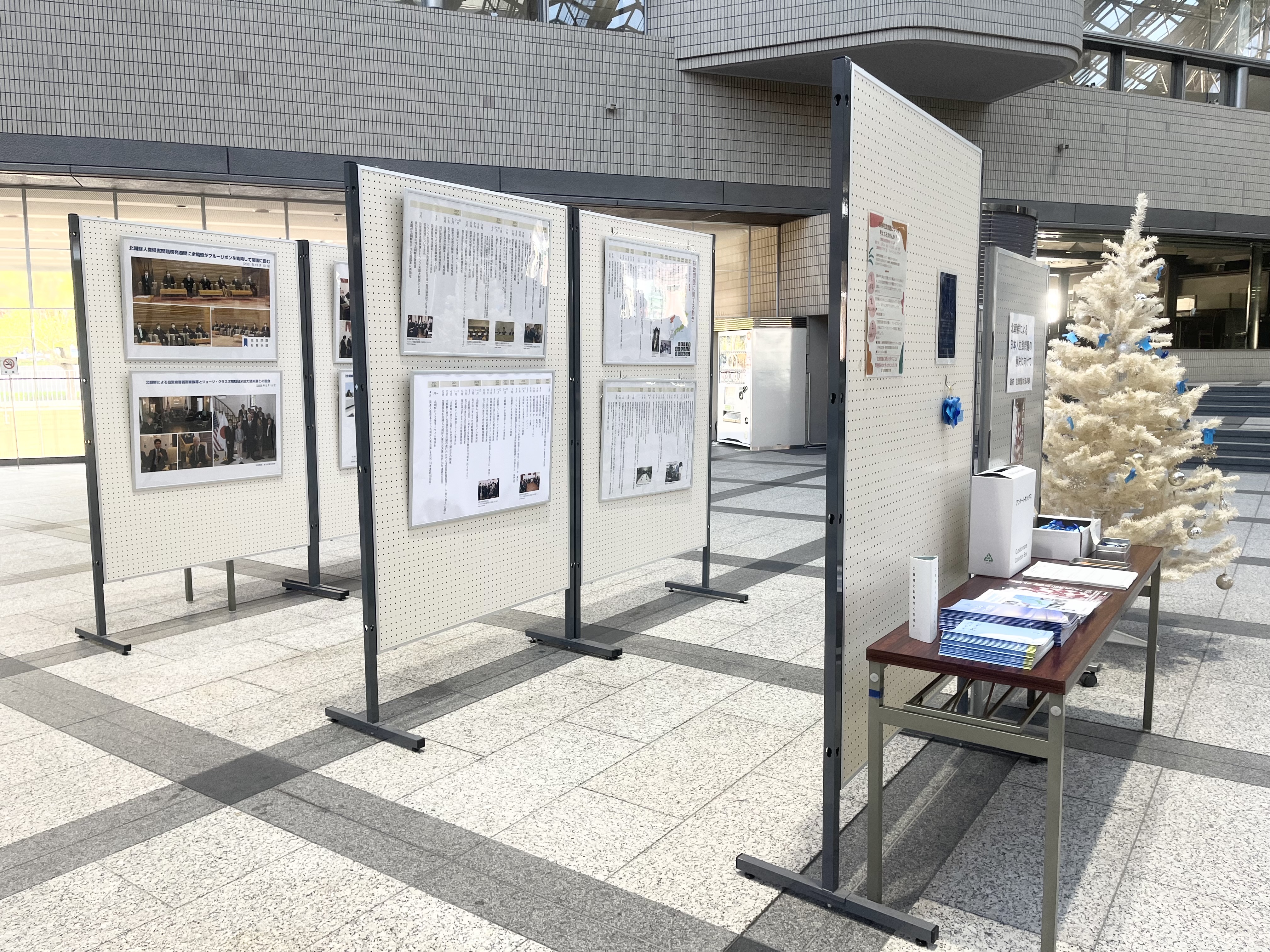 全体写真（左）