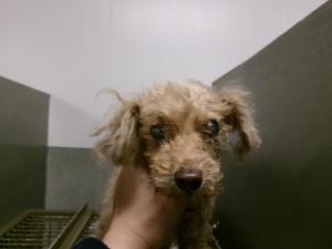 管理番号　1HD20250289-1