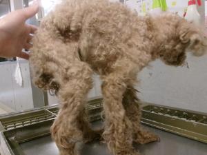 管理番号　1HD20250289（１）