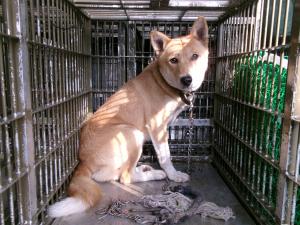 管理番号　1HD20250294（３）