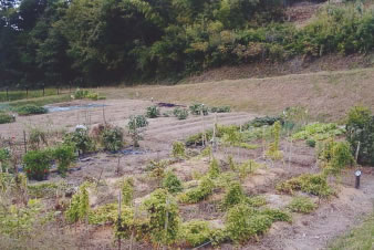 体験農園長沢の里の写真２