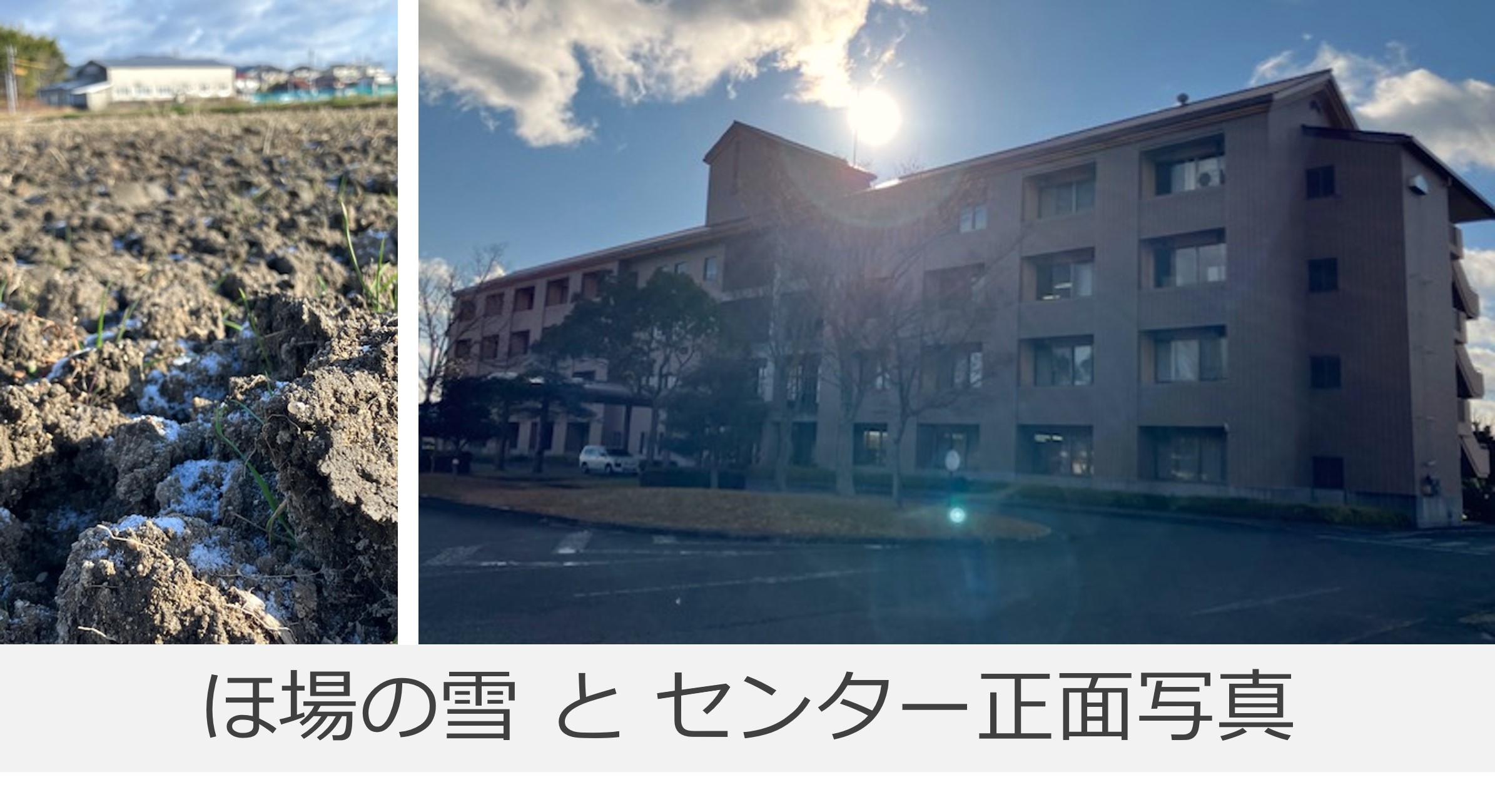 ほ場の雪とセンター正面写真