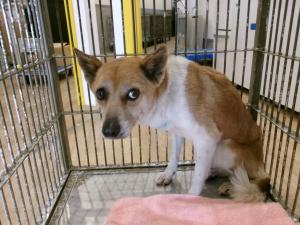 管理番号：1HD20250364