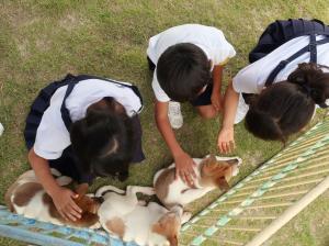犬と触れ合う生徒たち1
