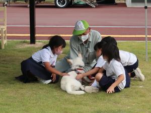 犬と触れ合う生徒たち2