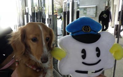 メイプル君とワンパト隊員