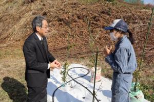 みかん畑の説明②